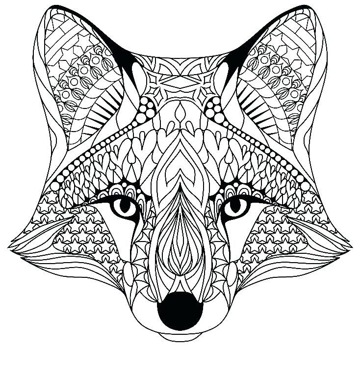 736x768 Modest Design Fox Coloring Pages Red Fox Coloring Pages Fox