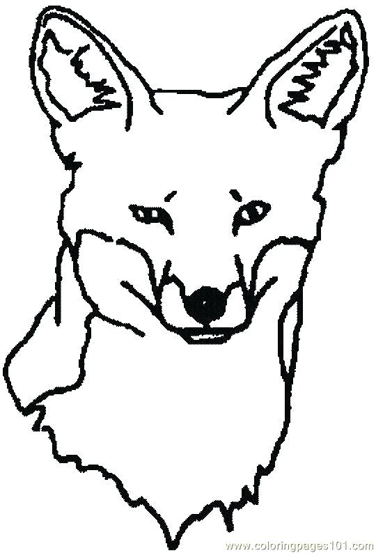 540x794 Red Fox Coloring Pages Fox Coloring Pages Packed With Fox Coloring