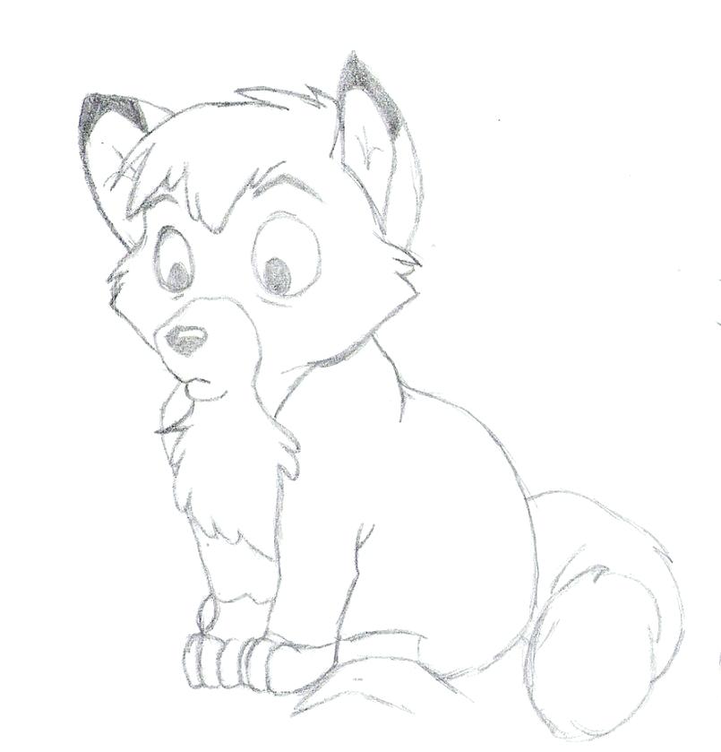 805x839 Red Fox Coloring Pages Large Size Of Fox Coloring Pages Together
