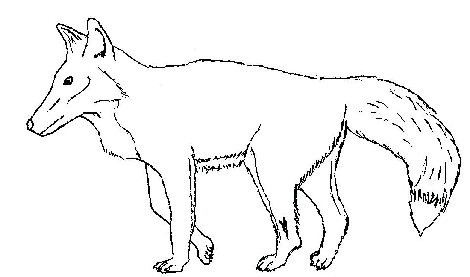 950x561 Coloring Pages Of Foxes Fox Coloring Page Coloring Pages Of Red