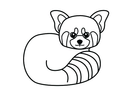 537x390 Giant Panda Coloring Page Red Panda Coloring Page Giant Panda