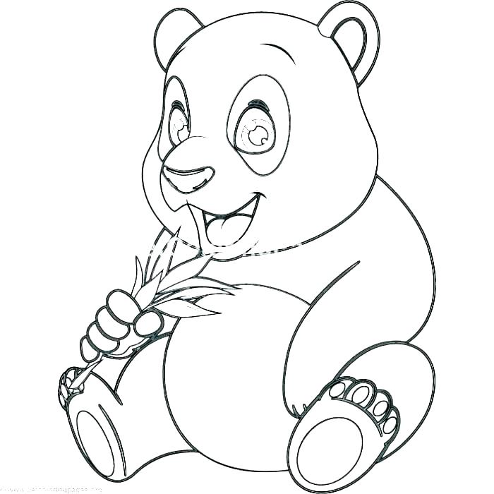 700x700 Baby Panda Coloring Page Red Panda Drawing At Free For Personal