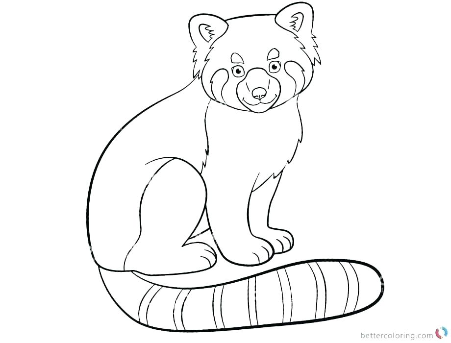 920x700 Red Panda Coloring Page Baby Red Panda Colouring Pages