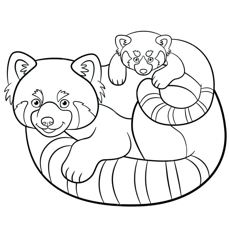 728x728 Red Panda Coloring Page With Wallpapers Cute Coloring Red Panda