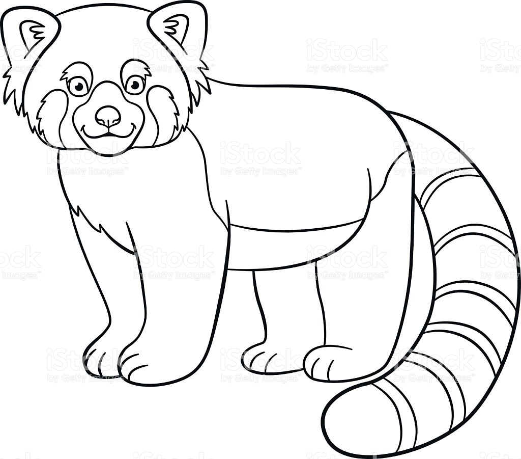 1024x901 Coloring Pages Little Cute Red Panda Smiles Stock Vector Art