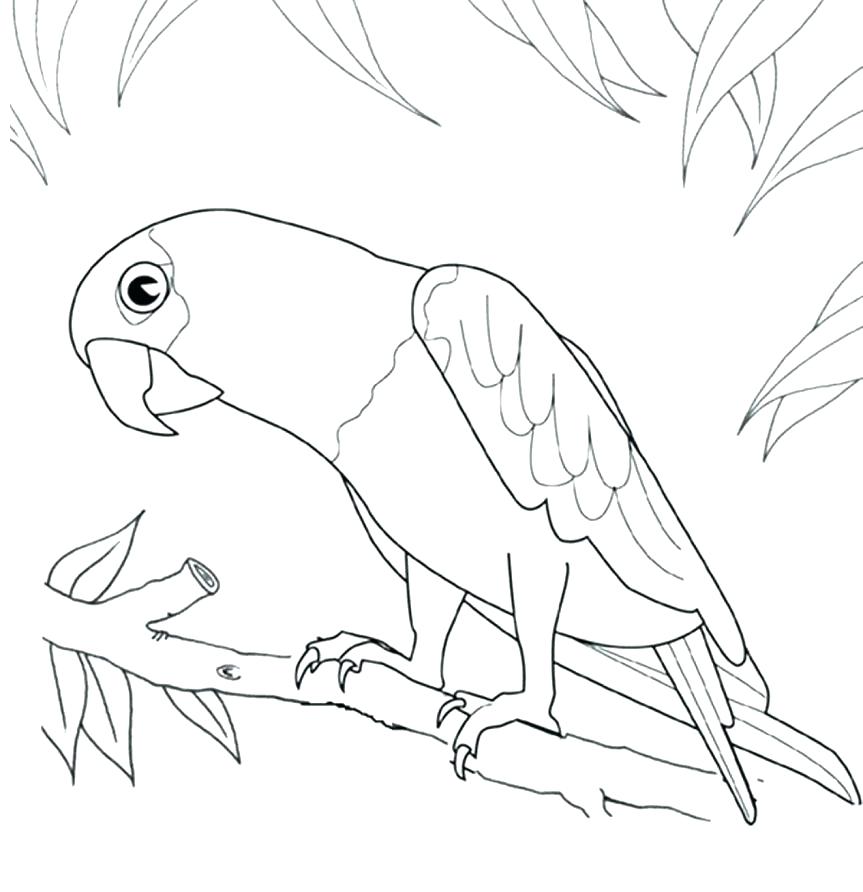 863x892 Robin Bird Coloring Pages Printable Bird Coloring Pages Printable