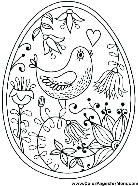 562x760 Birds Coloring Pages Cool Bird Coloring Pages Red Robin Bird Birds