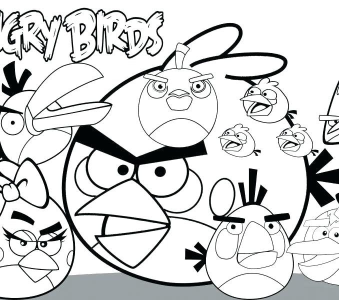 678x600 Robin Bird Coloring Pages
