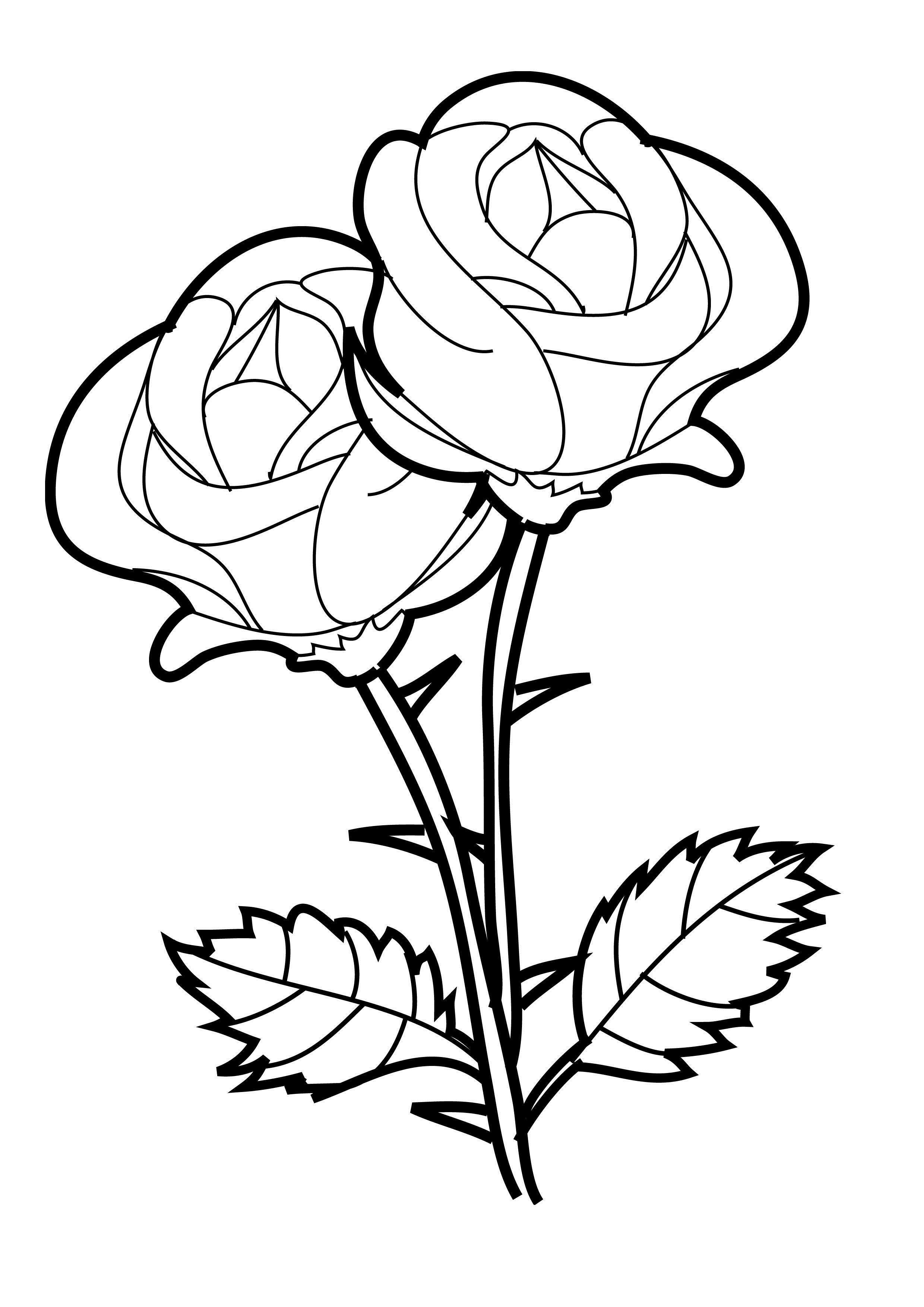 Red Rose Coloring Page
