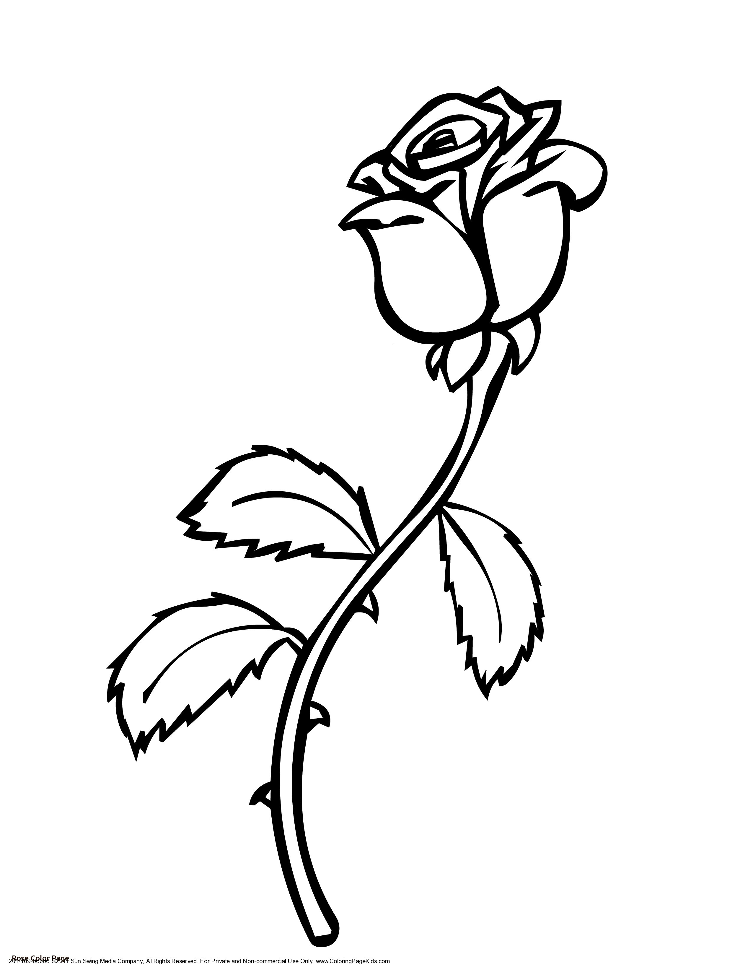 2550x3300 Printable Red Rose Valentines Coloring Pages Valentine Printables