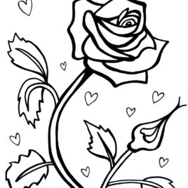 268x268 Red Rose Coloring Page Kids Drawing And Coloring Pages
