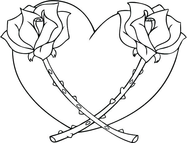 600x460 Rose Coloring Pages Red Rose Coloring Page Rose Coloring Pages