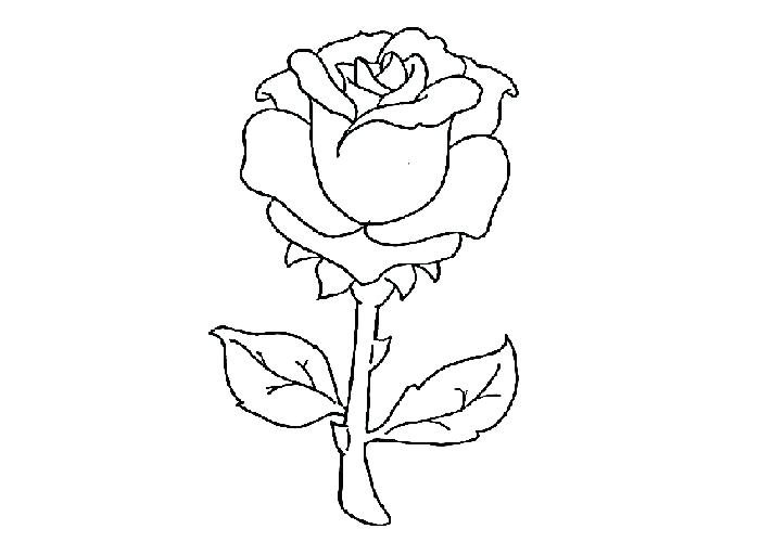 700x500 Rose Coloring Picture Rose Coloring Pages Coloring Pages Of Rose
