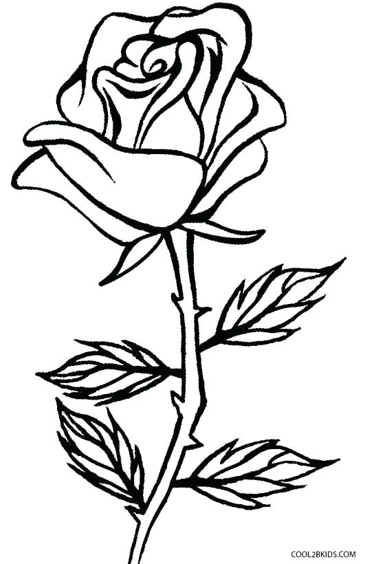531x820 Roses Coloring Page Roses Coloring Pages Rose Coloring Books