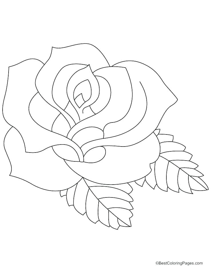 738x954 Coloring Pages Of Red Roses