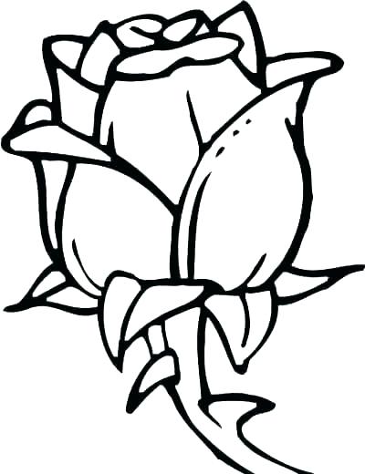 400x520 Rose Bouquet Coloring Pages