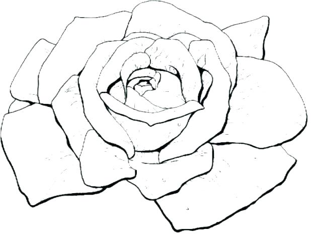 618x464 Coloring Pages Rose Beautiful Big Rose A Coloring Pages Rosetta