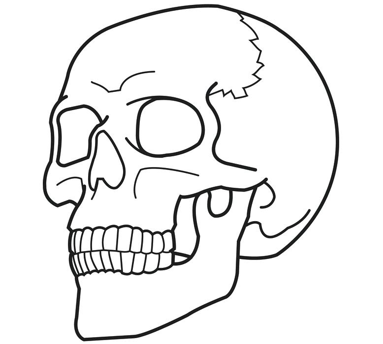 778x700 Skull Coloring Pages Day Of The Ad Sugar Skull Coloring Pages