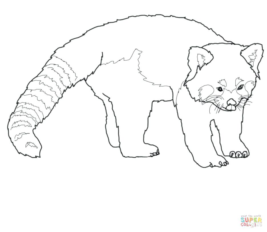936x811 Red Tailed Hawk Coloring Page Printable Pages Birds In Hawks