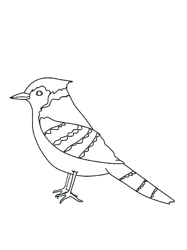 750x1000 Red Tailed Hawk Coloring Page Red Tailed Hawk Coloring Page Red