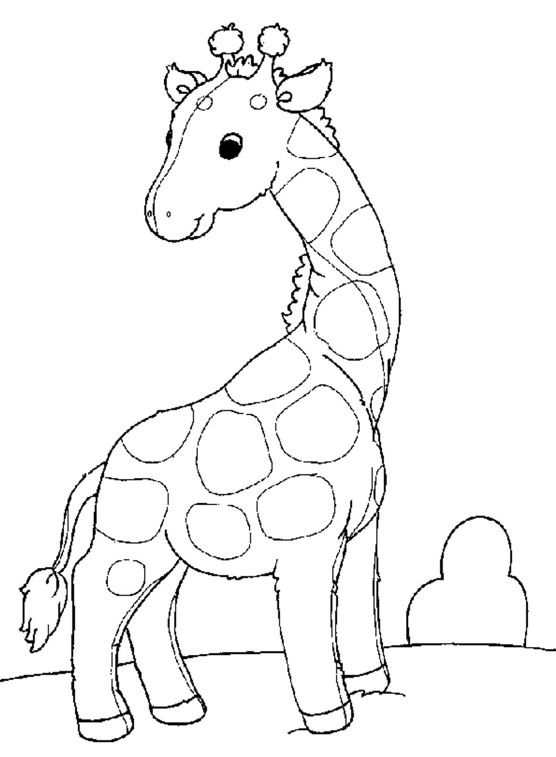 1101x1497 Giraffe With Small Tail Giraffes Giraffe And Kids Net