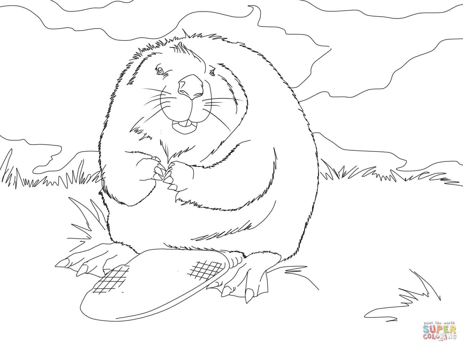 1600x1200 Ideas Collection Red Wolf Coloring Pages For Red Wolf Coloring