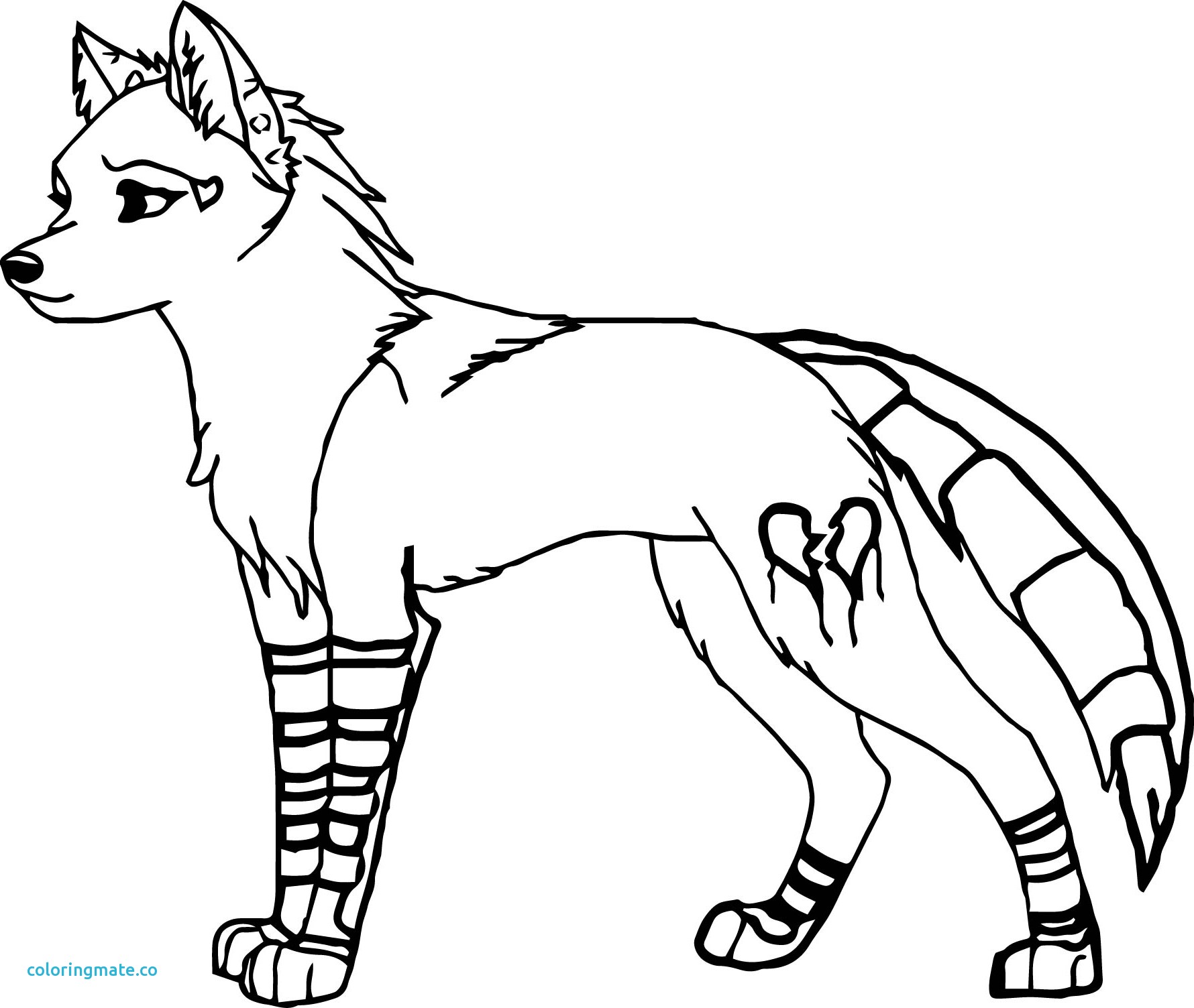 1780x1504 Ideas Collection Wolf Fighting Coloring Pages For Coloring Pages