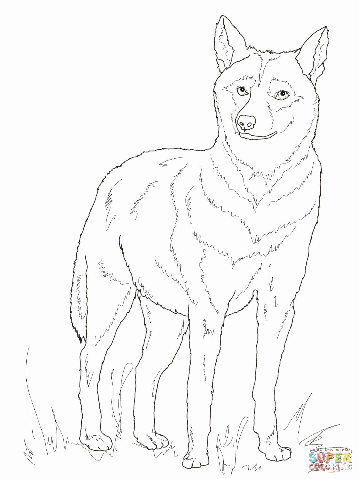 1200x1600 Minecraft Wolf Coloring Pages Unique Minecraft Coloring Pages