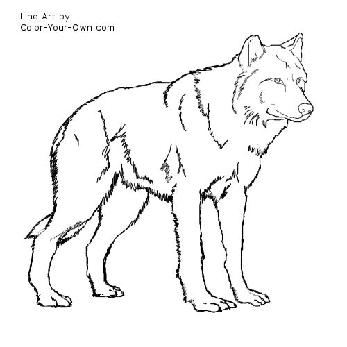 500x500 Red Wolf Coloring Pages