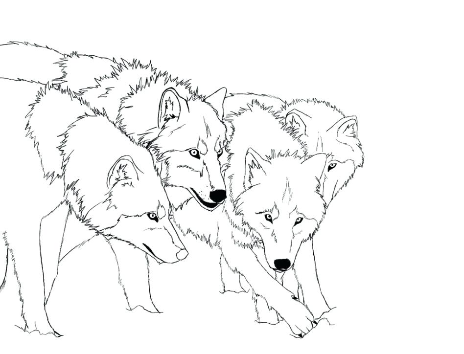 948x724 Red Wolf Coloring Pages
