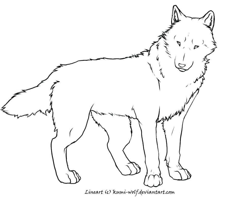 900x780 Red Wolf Coloring Pages Super Wolf Coloring Page Red Wolf Coloring