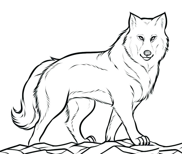 770x649 Wolf Pictures To Color Together With Coloring Pages Red Wolf