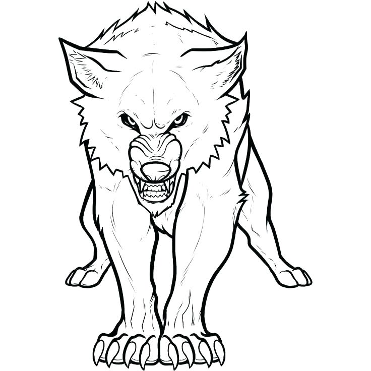736x736 Coloring Realistic Wolf Coloring Pages Best Page To Print