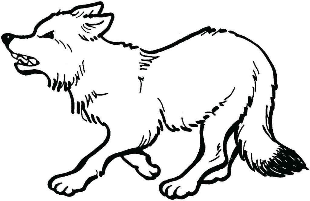 1024x665 Coloring Page ~ Peter And The Wolf Coloring Pages Free Download