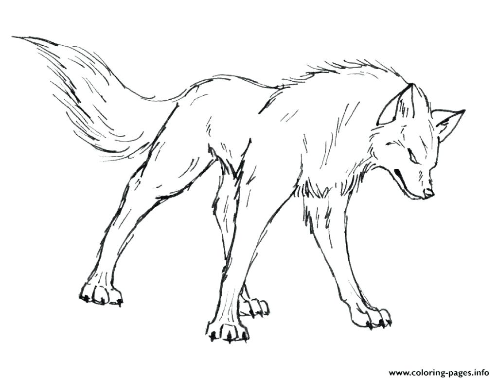 1024x781 Baby Wolf Coloring Pages Printable Charming Three Little Pigs