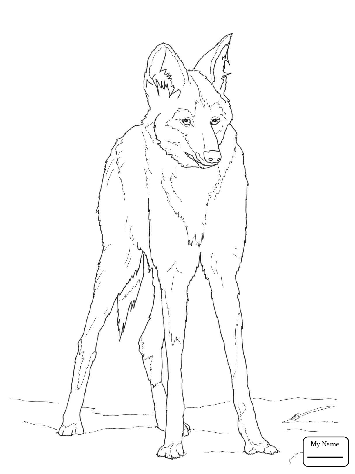 1224x1632 Fresh Copy Red Wolf Coloring Pages