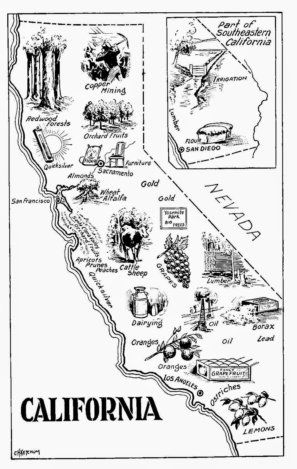 Redwood Tree Coloring Pages