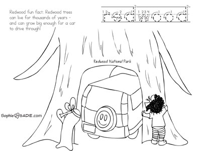 400x300 Coloring Page Redwood National Park Sophie And Sadie
