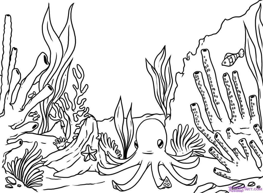 1024x752 Coral Coloring Pages Coral Reef Coloring Page Coloring Home
