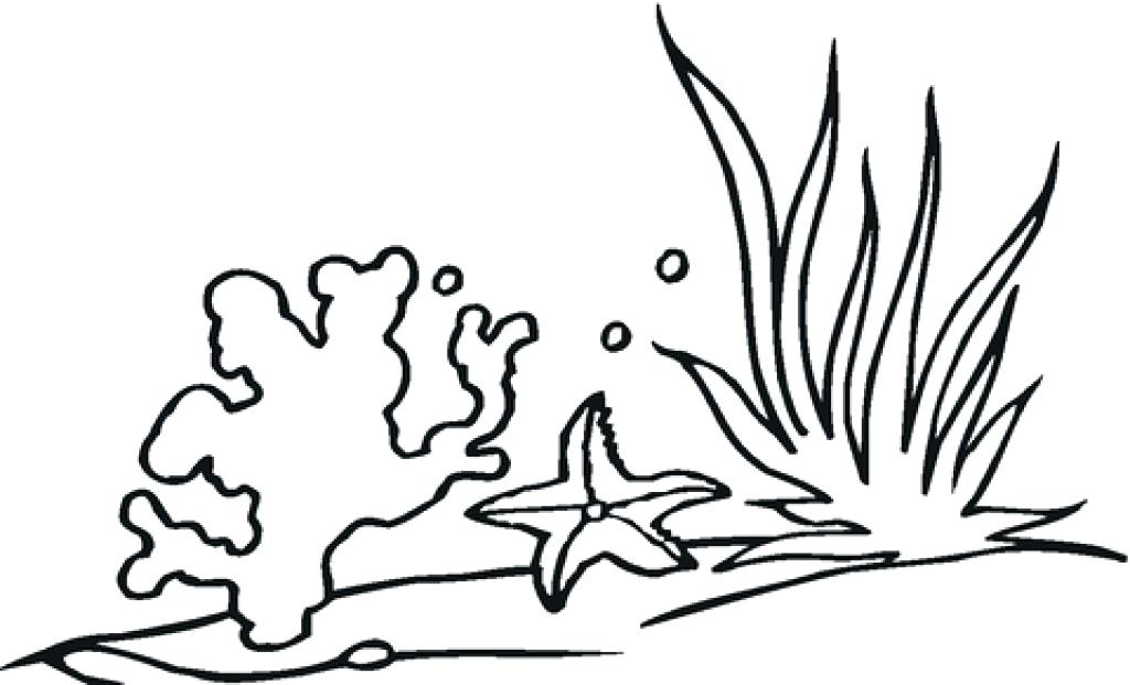 1024x621 Coral Coloring Pages Coral Reef Coloring Page Free Printable