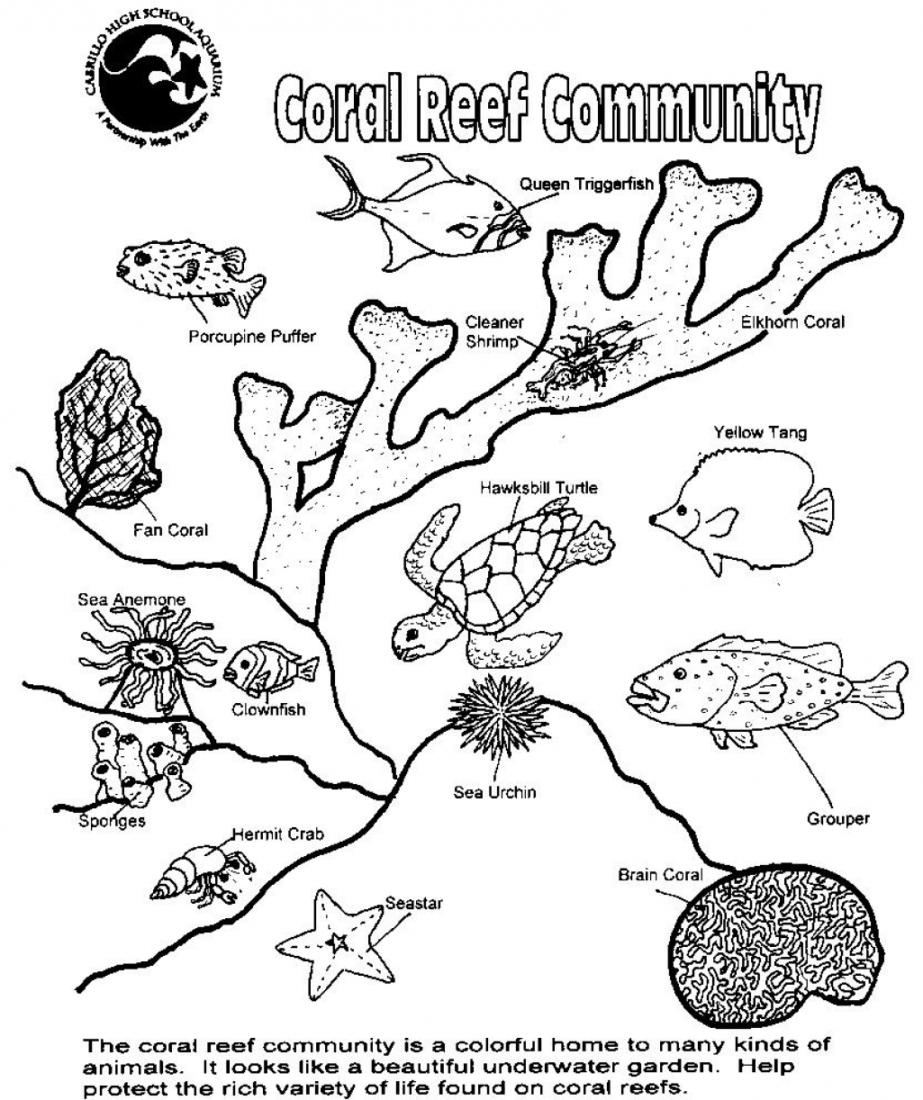 1025x1222 Coral Reef Coloring Page
