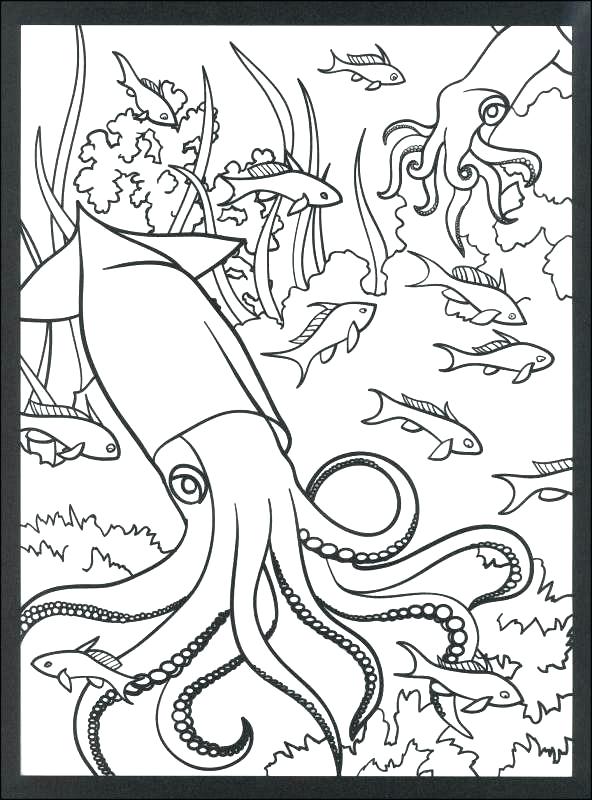 592x800 Coral Reef Coloring Page Coloring Pages Of Coral Reefs Coral