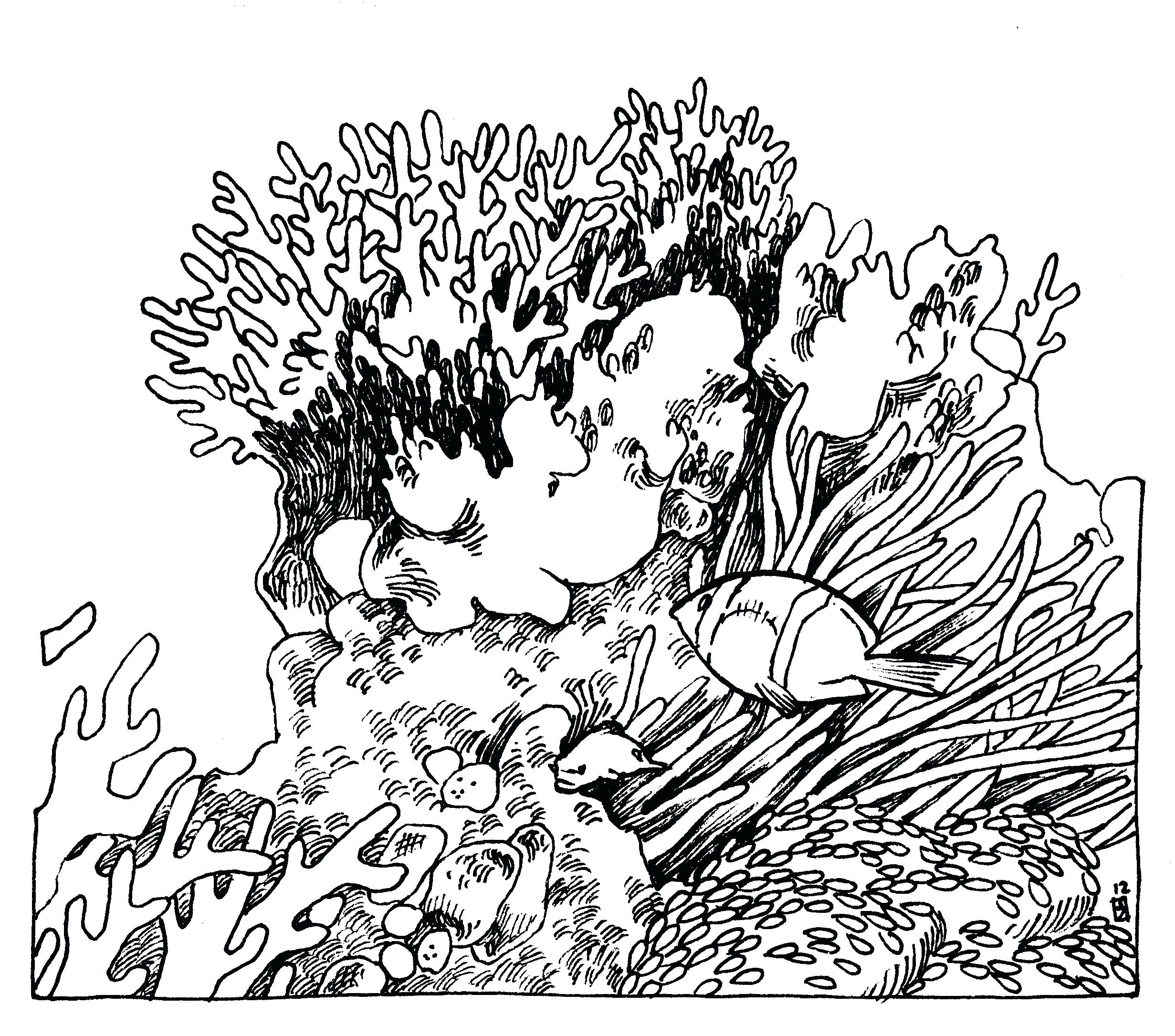 2462x2171 Fresh Coloring Reef Coloring Pages