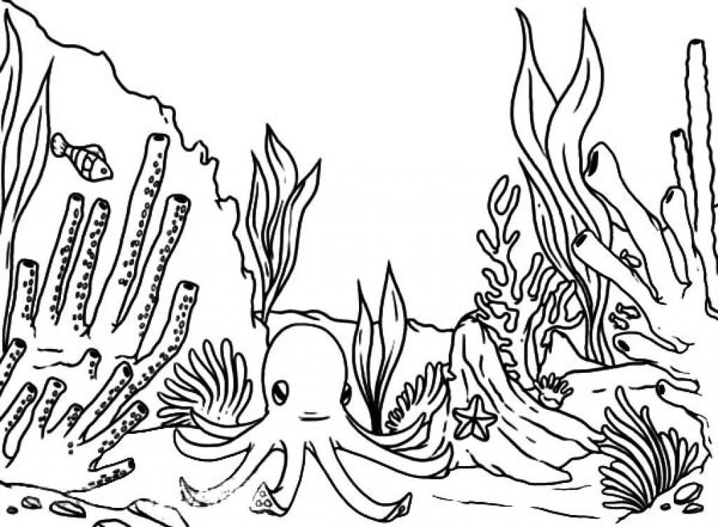 1024x752 Simple Coral Reef Coloring Pages Printable Coloring Pages