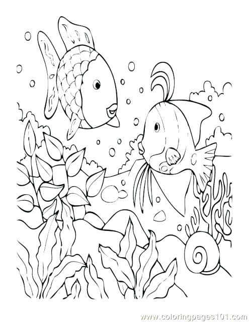 495x640 Coloring Pages National Geographic Society Coral Reef Plants