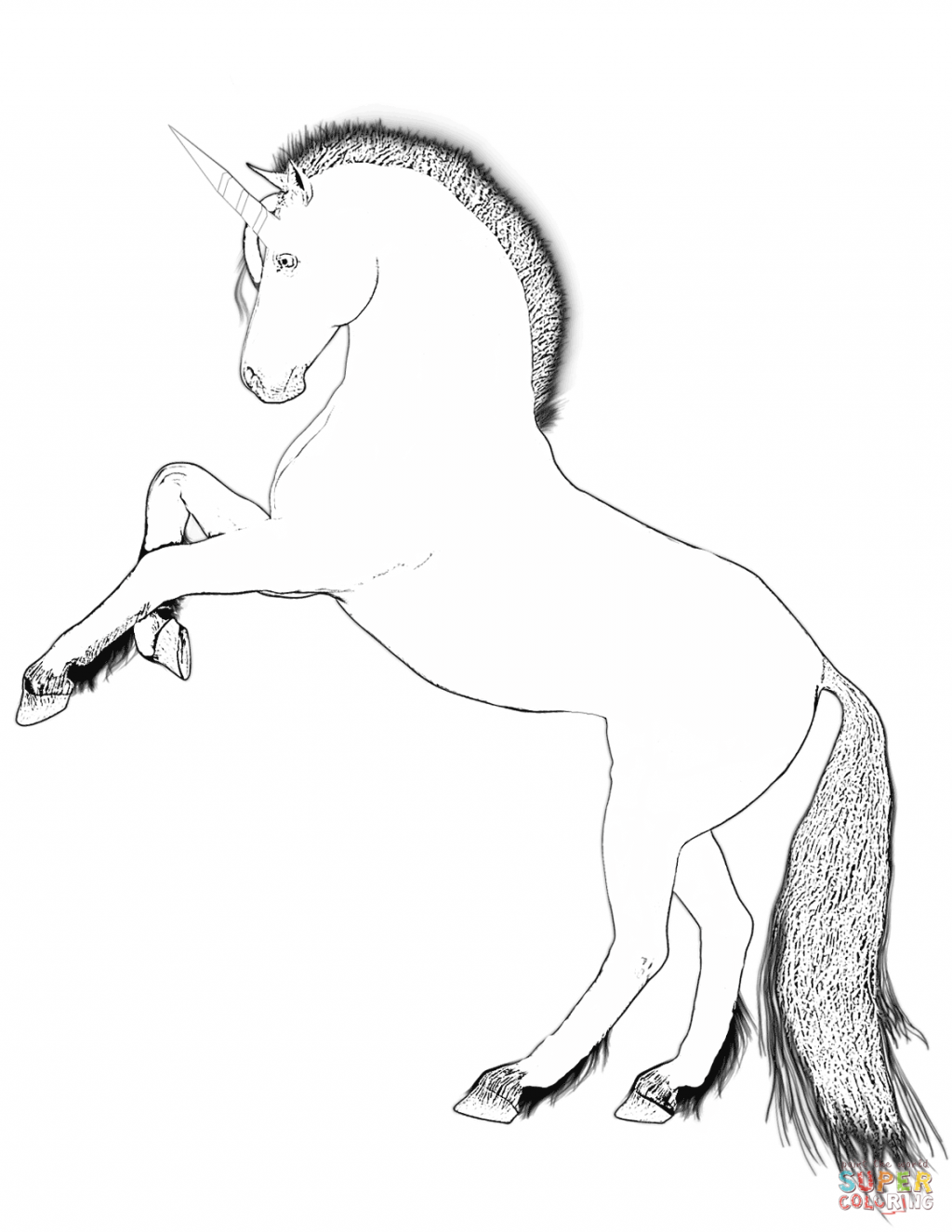 1024x1325 Coloring Book And Pages 47 Fabulous Unicorn Coloring Pages