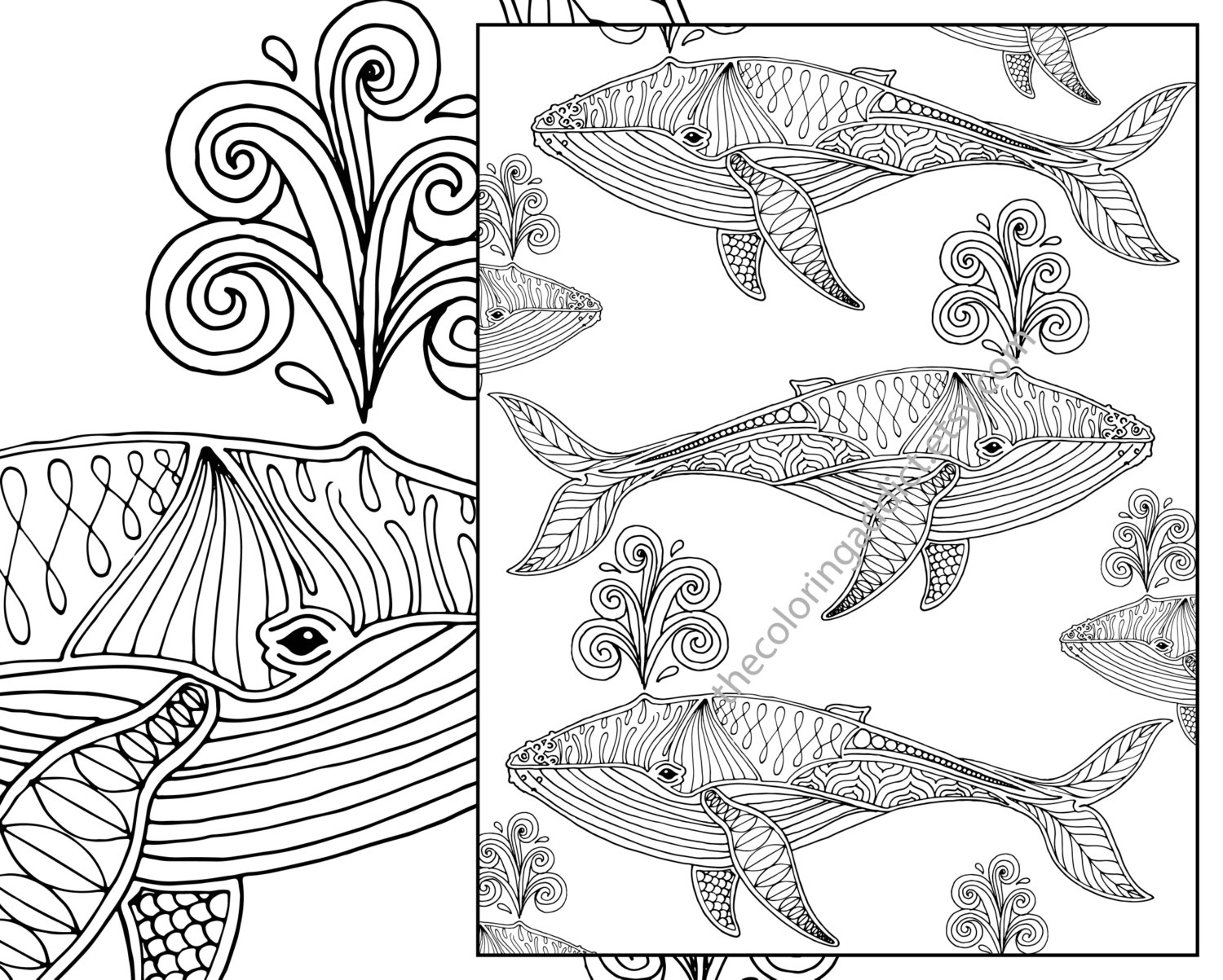 1500x1203 Nautical Coloring Pages For Adults Download Coloring For Kids 2018