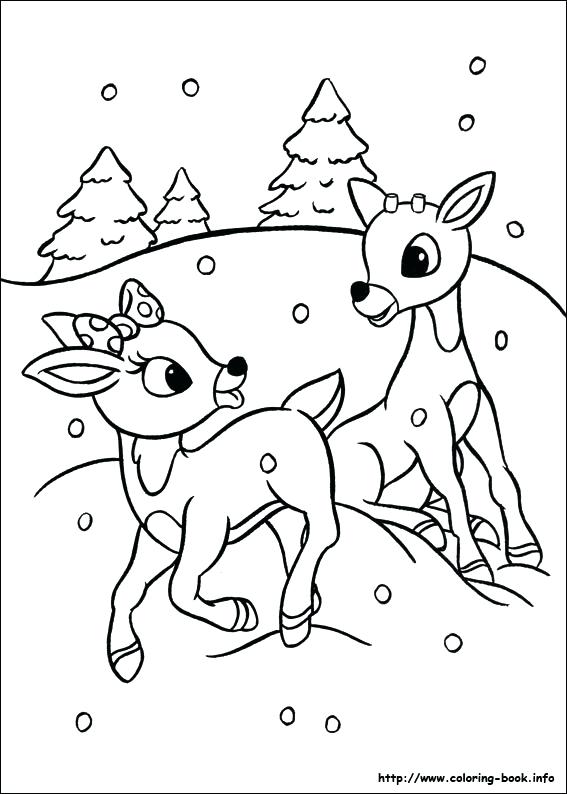 567x794 Reindeer Color Page Coloring Pictures Coloring Sheets Tree