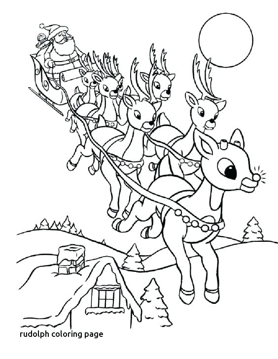 564x729 Reindeer Coloring Pages Reindeer Antlers Colouring Pages