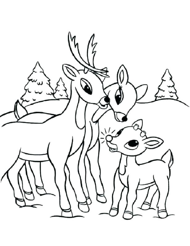 615x795 Coloring Pages Reindeer The Red Nosed Reindeer Coloring Sheet